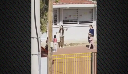 «Σας έφαγα, ντροπή σας!»: Διευθύντρια νηπιαγωγείου στα Άνω Λιόσια φώναζε στα παιδιά, τα έβαλε και με τους περαστικούς που αντέδρασαν - Αποφασίστηκε η μετακίνησή της, δείτε βίντεο