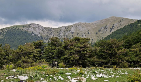  Στη σκιά του Φαλακρού: Ποτάμια, τεχνητές λίμνες και πλούσια Φύση
