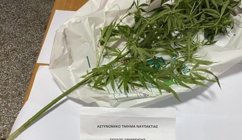 Συνελήφθη άνδρας για καλλιέργεια ναρκωτικών στη Ναύπακτο, τι εντόπισε ο αστυνομικός σκύλος «Sporty» στο σπίτι του
