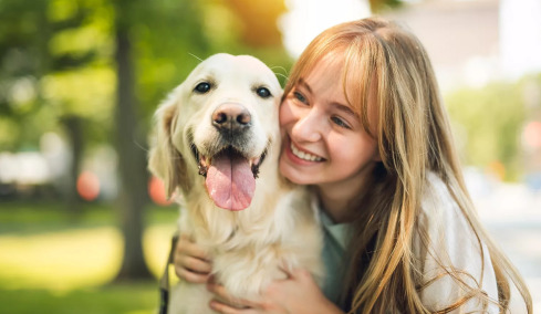 Πώς δείχνουν οι σκύλοι χαρά προς τον άνθρωπό τους;