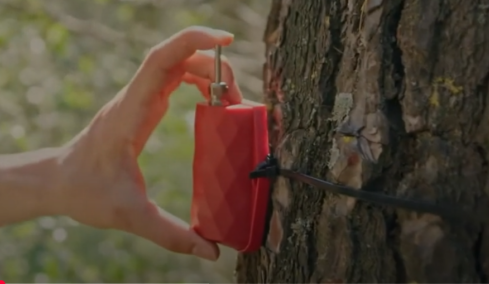 ΗUAWEI: Το βιώσιμο όραμα  της διεθνούς εταιρείας Τεχνολογιών Πληροφορικής και Επικοινωνιών (ΤΠΕ)