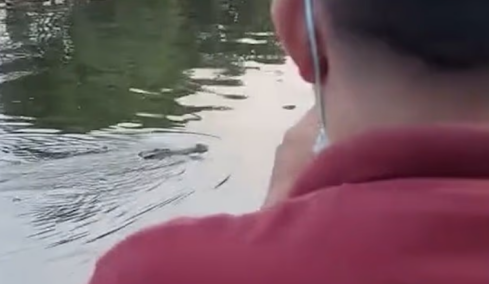 Φρικτός θάνατος για 10χρονο στην Ινδονησία: Τον άρπαξε κροκόδειλος ενώ κολυμπούσε με φίλους του