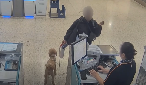 Το βίντεο που συγκίνησε το Λας Βέγκας: Άκαρδη τουρίστρια παράτησε το κουτάβι της στο αεροδρόμιο και συνελήφθη, δείτε βίντεο