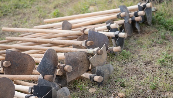 Νέα, μεγάλης κλίμακας αναδάσωση δίνει πνοή στην Πεντέλη