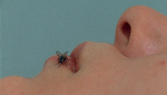 Γιόκο Όνο: Έκθεση στο Λονδίνο παρουσιάζει το καλλιτεχνικό έργο της, καλύπτοντας επτά δεκαετίες δημιουργίας και ακτιβισμού