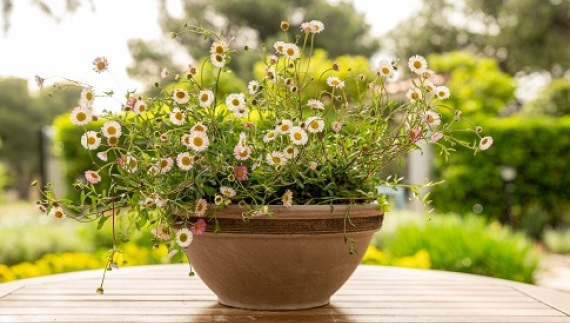 Μια υπέροχη, «πράσινη» ιστορία καινοτομίας και εξέλιξης