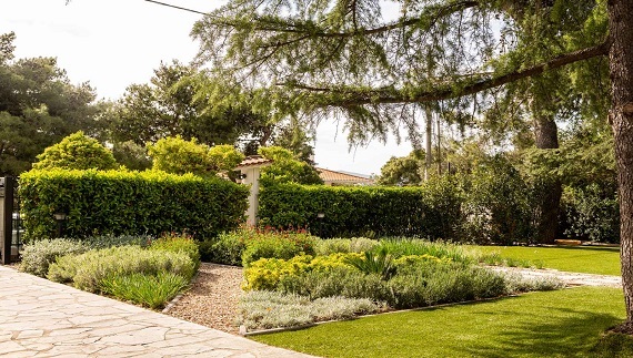 Μια υπέροχη, «πράσινη» ιστορία καινοτομίας και εξέλιξης