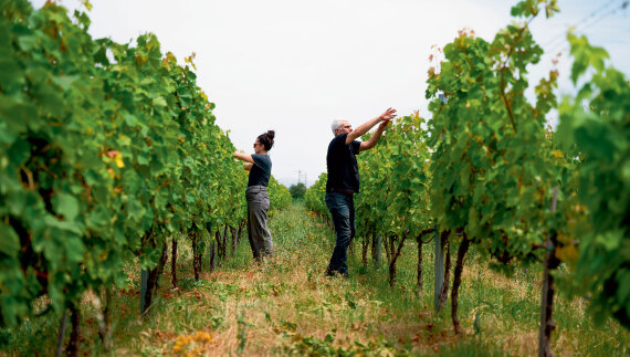 Θεσσαλία, ο εθνικός μας κάμπος που προσφέρει τροφή σε όλη τη χώρα
