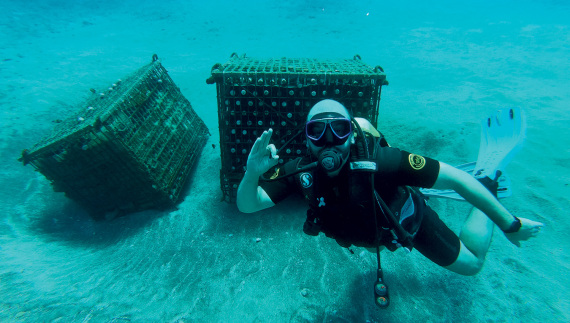Γιάννης Παρασκευόπουλος: Ενα κελάρι στον βυθό
