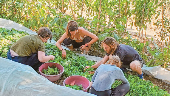 Οικοχωριά για επιστροφή στη φύση  και... άμεση δημοκρατία