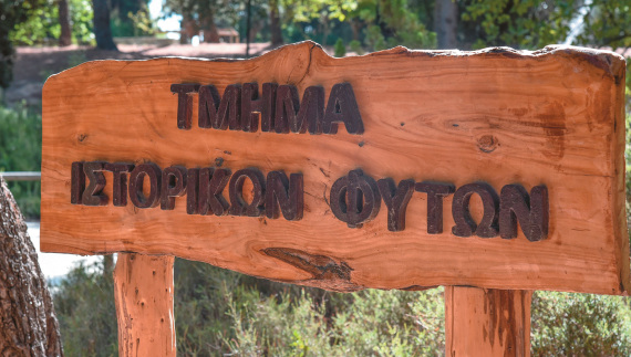 Πάρκο Διομήδους: Αυτός είναι ο «μυστικός κήπος» της Αθήνας που κατατάσσεται στους 10 καλύτερους της Ευρώπης