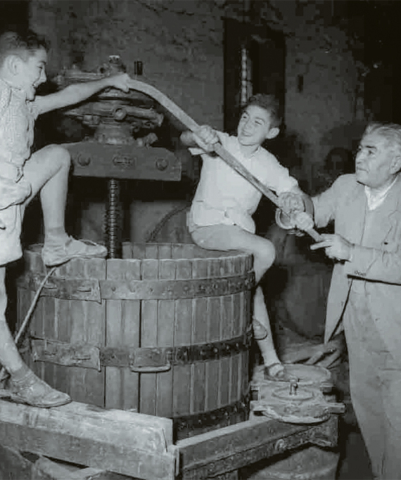 Γιάννης Μπουτάρης 1942-2024: Η ιστορία ενός επίμονου αμπελουργού