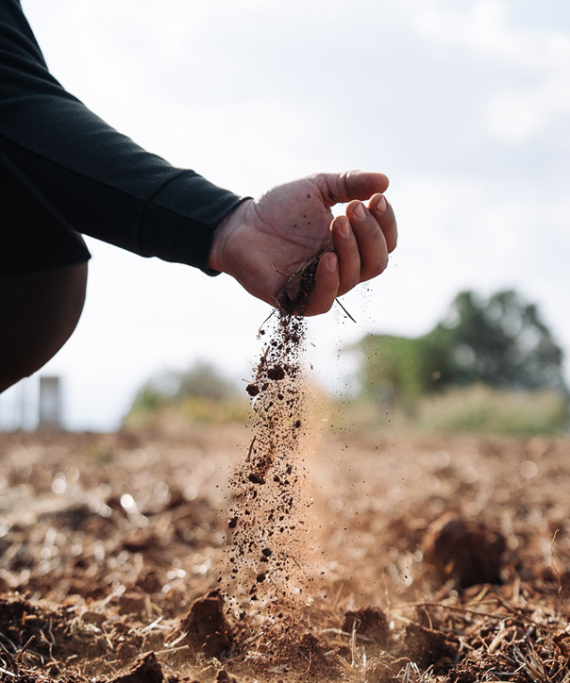Πώς μπορεί η τεχνολογία να αλλάξει την καλλιέργεια στη χώρα και να δημιουργήσει μια νέα γενιά παραγωγών 