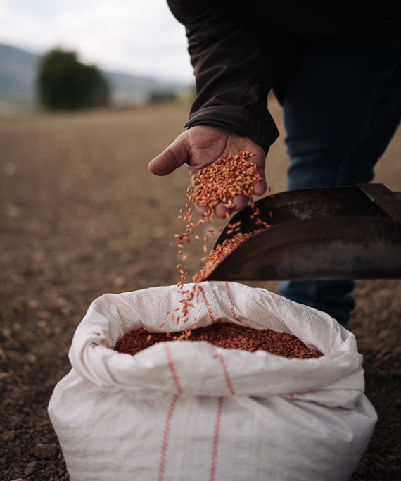Πώς μπορεί η τεχνολογία να αλλάξει την καλλιέργεια στη χώρα και να δημιουργήσει μια νέα γενιά παραγωγών 
