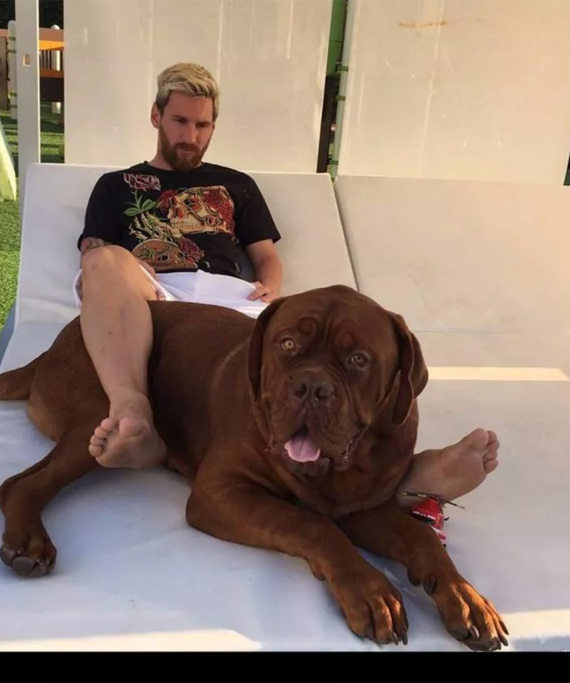 Ρονάλντο vs Μέσι: Από τα γήπεδα στη μάχη της χλιδής - Ποιος έχει μεγαλύτερη περιουσία