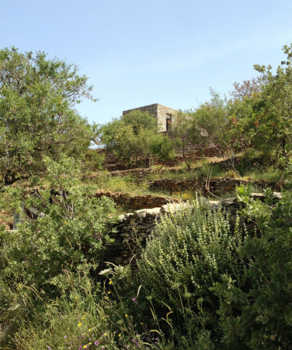 15 κατοικίες κορυφαίας αρχιτεκτονικής σε όλη την Ελλάδα - Δείτε φωτογραφίες και βίντεο