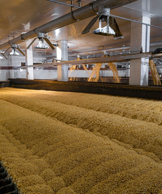 Η ζυθοποιία που επενδύει στη βιωσιμότητα