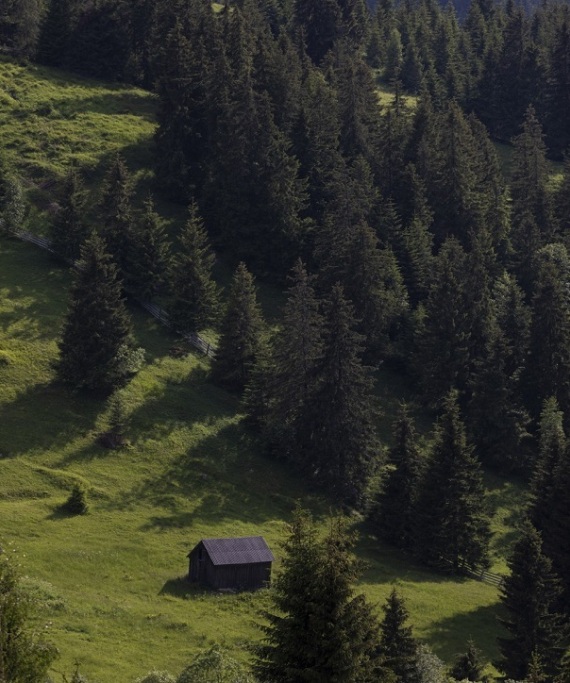Το αγνό νερό περνά από την καρδιά της μητέρας Φύσης