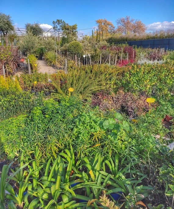 Μια υπέροχη, «πράσινη» ιστορία καινοτομίας και εξέλιξης