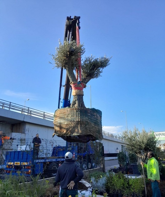 Μια υπέροχη, «πράσινη» ιστορία καινοτομίας και εξέλιξης