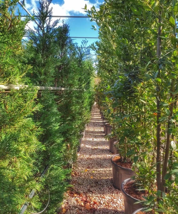 Μια υπέροχη, «πράσινη» ιστορία καινοτομίας και εξέλιξης