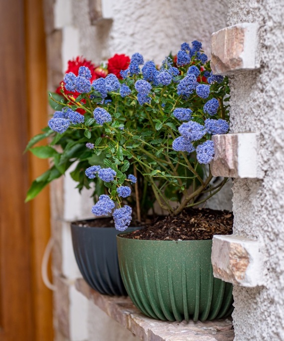 Μια υπέροχη, «πράσινη» ιστορία καινοτομίας και εξέλιξης