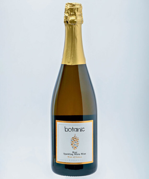 Αφιέρωμα: O χάρτης του ελληνικού κρασιού 2024 - Σπουδαία λευκά και ροζέ από τη Στερεά Ελλάδα