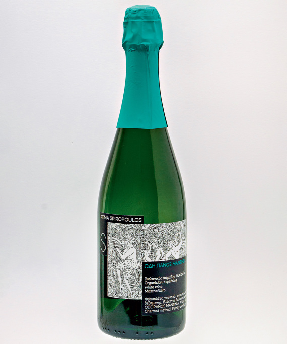 Αφιέρωμα: O χάρτης του ελληνικού κρασιού 2024 - Σπουδαία λευκά και ροζέ από την Πελοπόννησο