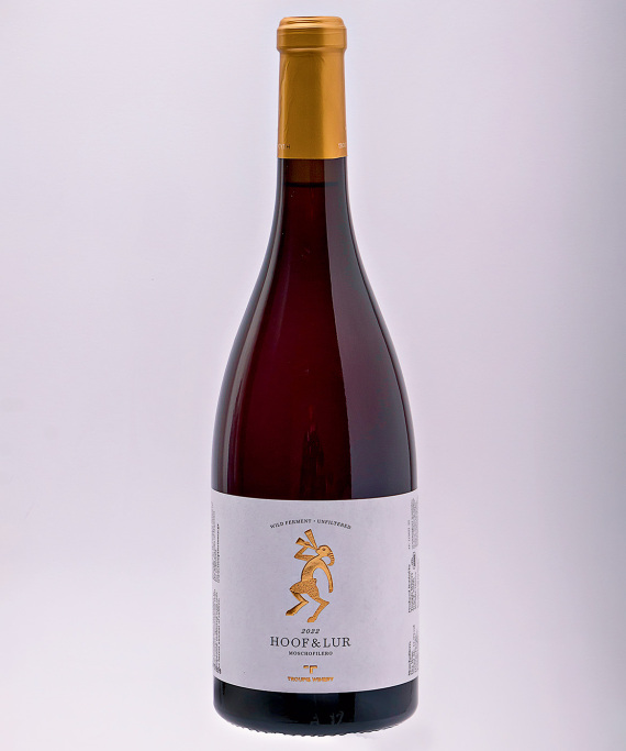 Αφιέρωμα: O χάρτης του ελληνικού κρασιού 2024 - Σπουδαία λευκά και ροζέ από την Πελοπόννησο