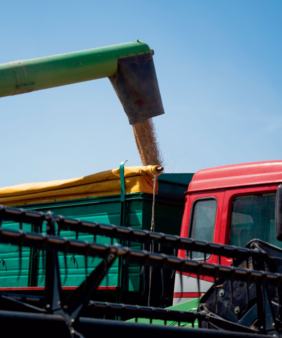 Θεσσαλία, ο εθνικός μας κάμπος που προσφέρει τροφή σε όλη τη χώρα