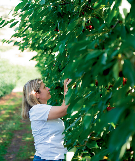 Θεσσαλία, ο εθνικός μας κάμπος που προσφέρει τροφή σε όλη τη χώρα