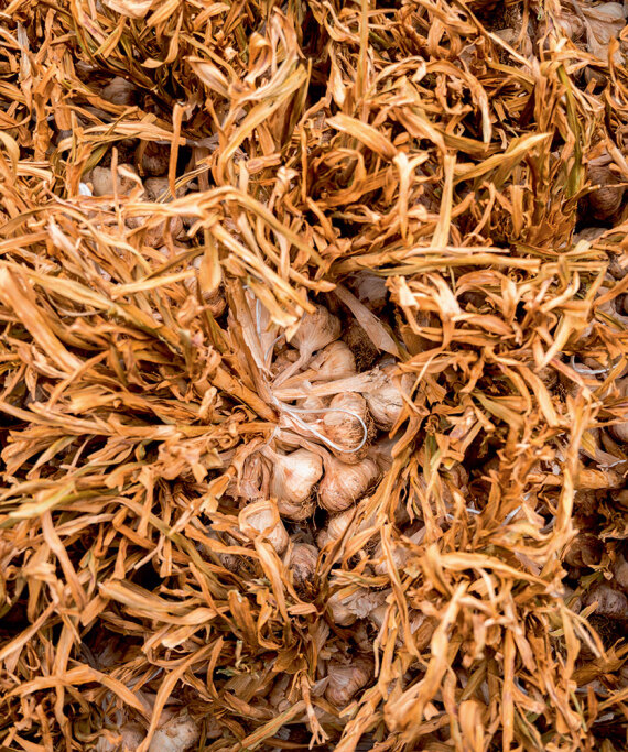 Θεσσαλία, ο εθνικός μας κάμπος που προσφέρει τροφή σε όλη τη χώρα