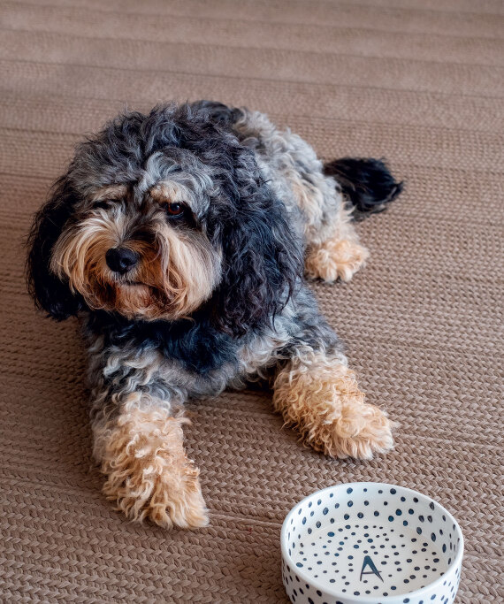 Rhea Kalo, η ανήσυχη κεραμίστρια
