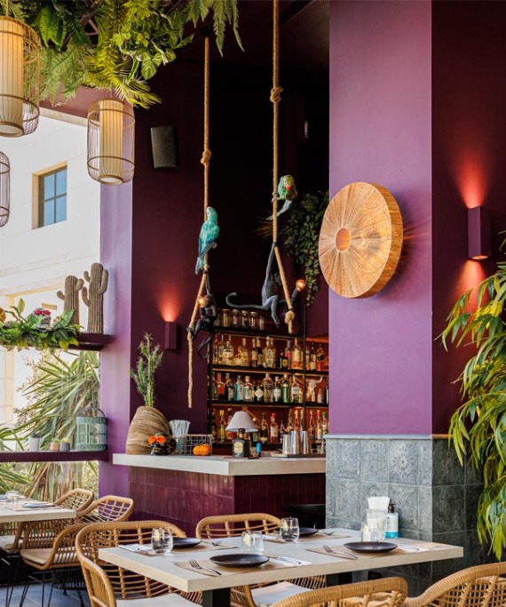 Mexha: Για ένα value for money γαστρονομικό ταξίδι στο Μεξικό