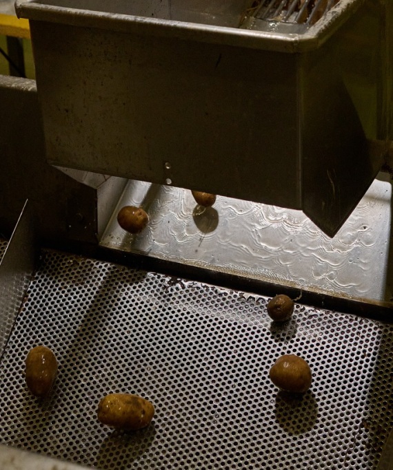 Tsakiris Chips: Τα πατατάκια που έχουν κερδίσει μια θέση στην καρδιά μας εδώ και 70 χρόνια