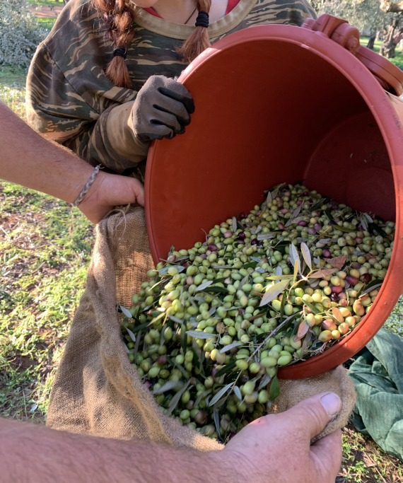 Zero Waste HoReCa Awards: Πώς και γιατί το Agrikies Country Retreat ξεχώρισε