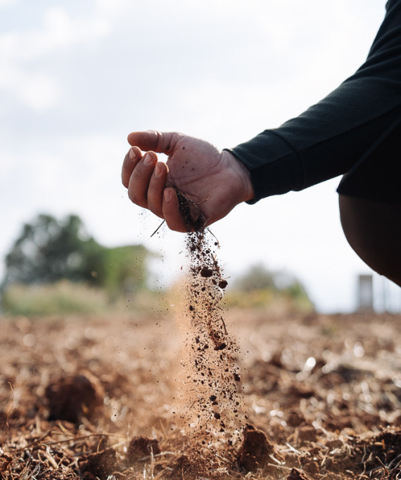 Οικονομική ανάπτυξη με κέντρο τη γη