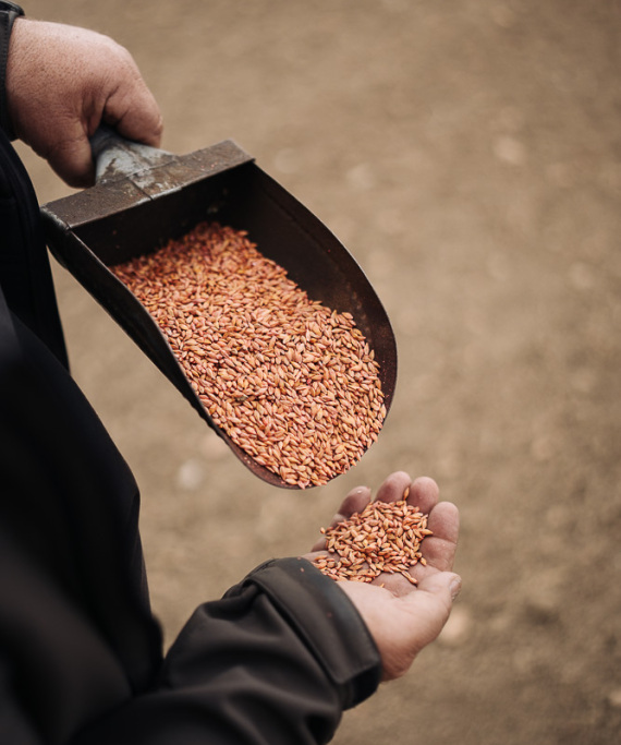 Οικονομική ανάπτυξη με κέντρο τη γη