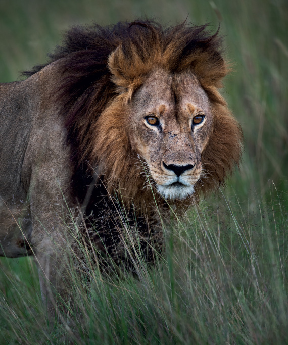 Ματίας Κλουμ, ο ατρόμητος φωτογράφος του «National Geographic»
