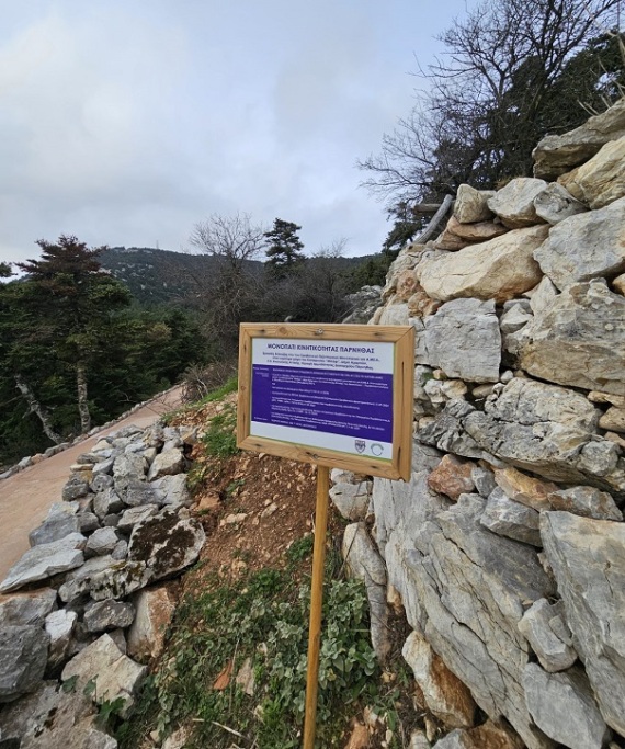 Πόσες μορφές μπορεί να έχει η «προσβασιμότητα»;