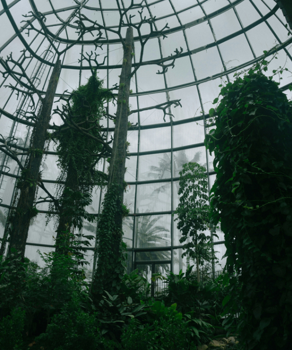 
Η άνοδος του Biophilic Design: Όταν η φύση εμπνέει 