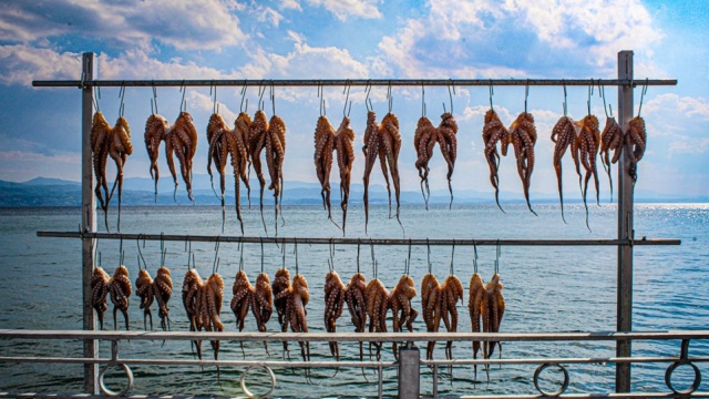 Αμάρυνθος: 5 προτάσεις για θαλασσινά με θέα στον Ευβοϊκό