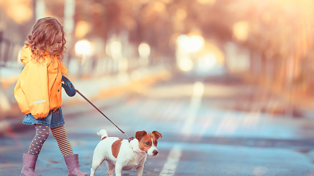 Δείτε πώς το παιδί σας μπορεί να συμμετέχει στο Woof Festival | Topetmou.gr στην εκπαίδευση του σκύλου