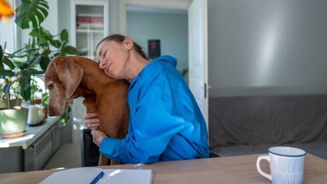 Τι συμβαίνει στον σκύλο μας τη στιγμή που του λέμε «Σ’ αγαπώ»