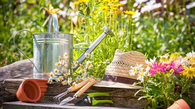 Tips για «σπιτική» κηπουρική