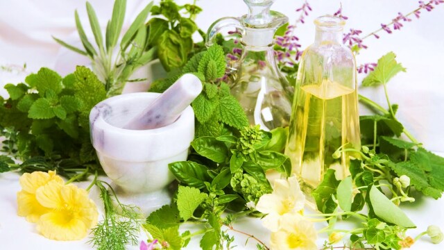 Βότανα και αρωματικά