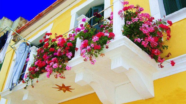 Ζωντανέψτε τις ζαρντινιέρες σας!