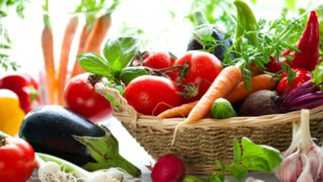 Τα πάντα για τη συντήρηση τροφίμων