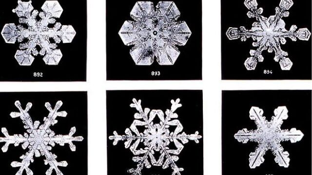  Νερό: 12 παράξενα πράγματα γύρω από το βασικό στοιχείο της ζωής 