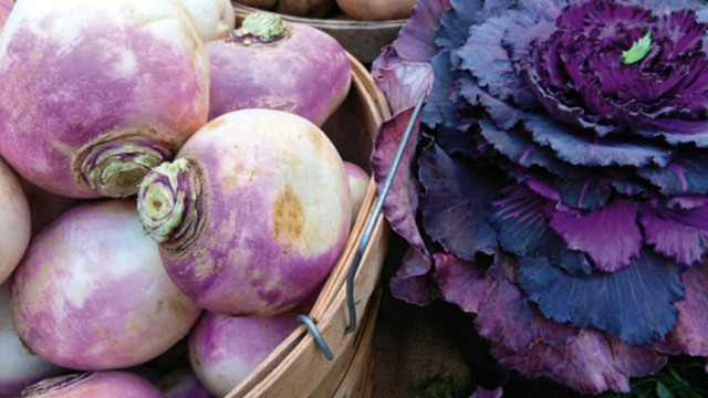 Ρέβες: Πώς να τις επιλέξετε και πώς να τις μαγειρέψετε